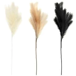 B&M Pampas Stem - Natural -B&M Home Sales Store 372800 395541 394382 pamas stem group