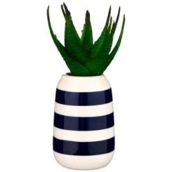 B&M Small Succulent -B&M Home Sales Store 380107 small succulent 3