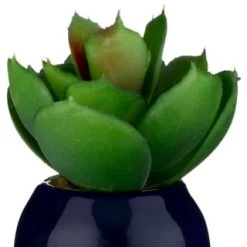 B&M Small Succulent -B&M Home Sales Store 380107 small succulent 6