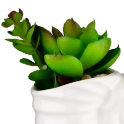 B&M Scandi Shore Small Shell Succulent -B&M Home Sales Store 380110 small shell succulent 2