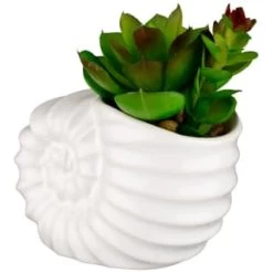 B&M Scandi Shore Small Shell Succulent -B&M Home Sales Store 380110 small shell succulent 3