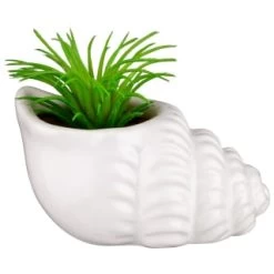 B&M Scandi Shore Small Shell Succulent -B&M Home Sales Store 380110 small shell succulent 4