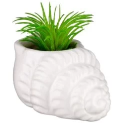 B&M Scandi Shore Small Shell Succulent -B&M Home Sales Store 380110 small shell succulent 6