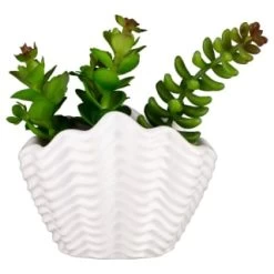 B&M Scandi Shore Small Shell Succulent -B&M Home Sales Store 380110 small shell succulent 7