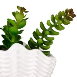 B&M Scandi Shore Small Shell Succulent -B&M Home Sales Store 380110 small shell succulent 8