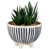 B&M Scandi Shore Stripe Succulent