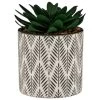 B&M Succulent In Botanist Print Pot - Green