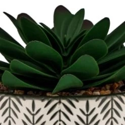 B&M Succulent In Botanist Print Pot - Green -B&M Home Sales Store 380608 patterened pot with succulent 2