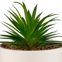 B&M Scandi Shore Succulent In White Pot 3 B&M Scandi Shore Succulent In White Pot -B&M Home Sales Store 380696 succulent in white pot 2