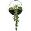 B&M Eden Life Round Trailing Plant