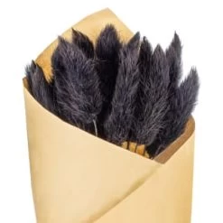 B&M Dried Black Bunny Tail Bunch -B&M Home Sales Store 387543 dried black bunny tail bunch 2