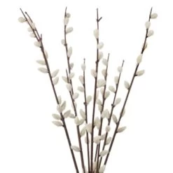 B&M Pussy Willow In White Vase -B&M Home Sales Store 387576 pussy willow in white vase 2