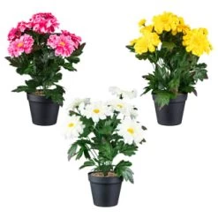 B&M Zinnia Plant Pot - Yellow -B&M Home Sales Store 392826 zinnia in pot group
