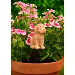 B&M Cockapoo Pot Stick -B&M Home Sales Store 392836 cockapoo pot stick1