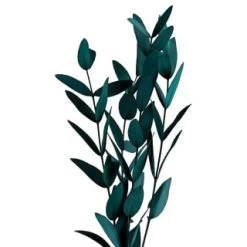 B&M Plant In Glass & Wooden Vase -B&M Home Sales Store 394337 plant in glass and wooden vase 2