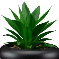 B&M Succulent In Bubble Vase -B&M Home Sales Store 394339 succulent in bubble vase 2