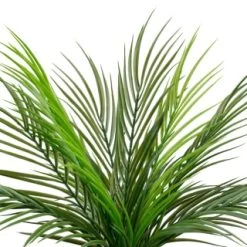 B&M Fern In Double Handle Pot -B&M Home Sales Store 394340 fern in double handle pot 2