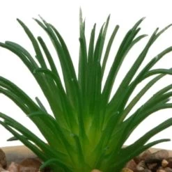 B&M Small Succulent Pot - Stone 4 B&M Small Succulent Pot - Stone -B&M Home Sales Store 394663 small succulent stone 2