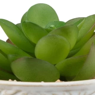 B&M Assorted Embossed Pots 7 B&M Assorted Embossed Pots - Image 7