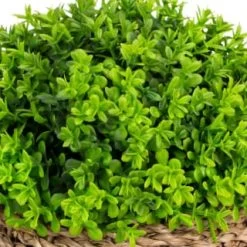 B&M Bush In Seagrass Pot -B&M Home Sales Store 394693 bush in seagrass pot 2