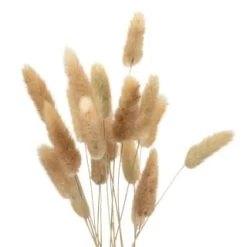 B&M Bunny Tails In Double Handled Vase -B&M Home Sales Store 394705 bunny tails in handled vase 2