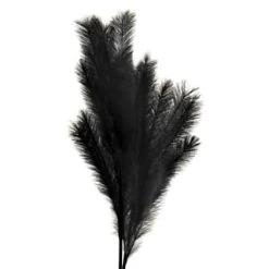 B&M Pampas Stem - Black 4 B&M Pampas Stem - Black -B&M Home Sales Store 395541 pamas stem black 2
